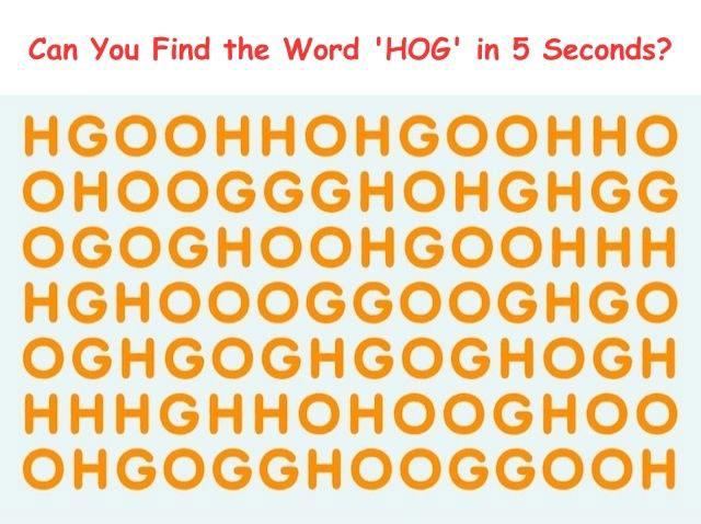 Can you find the hidden word? This tricky puzzle challenges you to spot the word 'hog' in a sea of letters. Think you can do it?